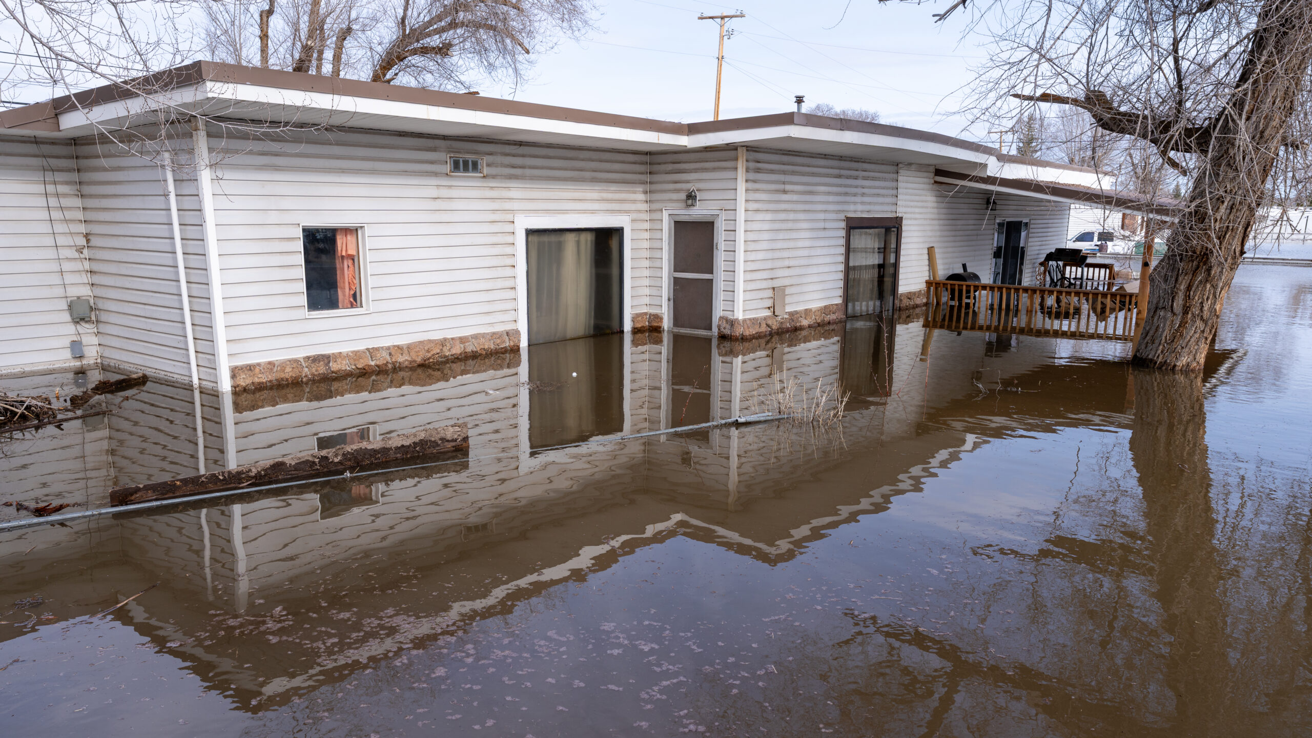 A single-story house with white siding is partially submerged in floodwater, highlighting the importance of home flood insurance. Water reaches the window bases and covers part of a wooden porch, while trees and utility poles stand in the background.