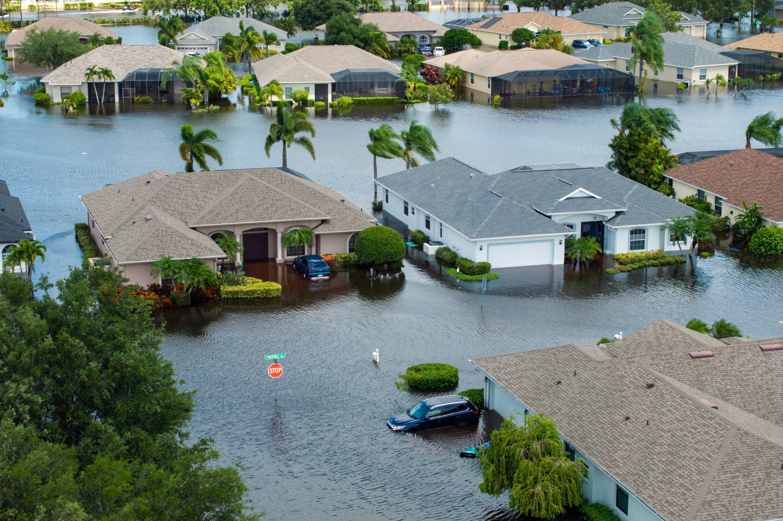 A suburban neighborhood is heavily flooded, with water covering streets and lawns, partially submerging cars and landscaping. Palm trees and houses stand above the floodwaters—a powerful reminder of why Bloomingdale homeowners insurance is essential.