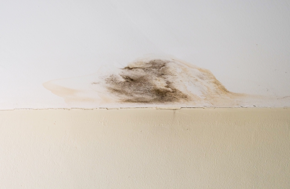 does homeowners insurance cover water damage